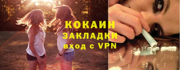 прущие грибы Новокубанск