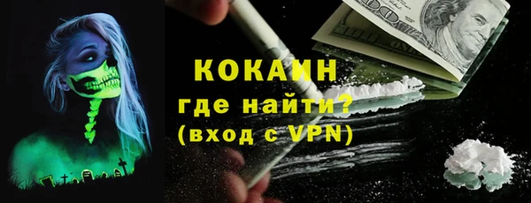 ешки Новодвинск