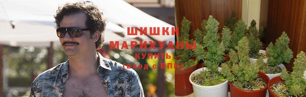 ешки Новодвинск