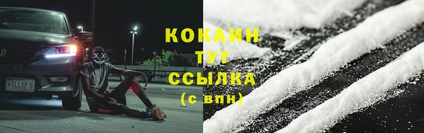 прущие грибы Новокубанск