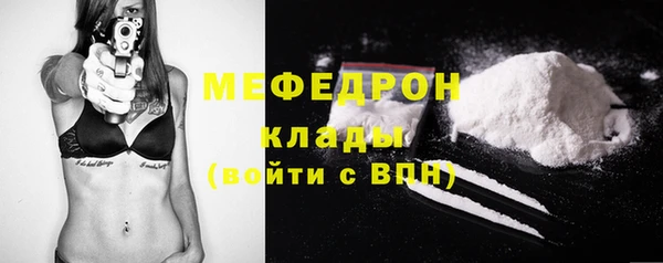 ешки Новодвинск