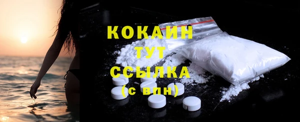 трава Новозыбков