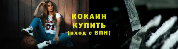 ешки Новодвинск