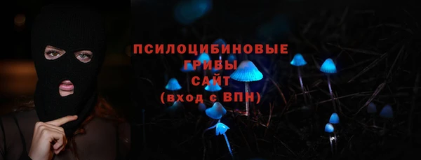 ешки Новодвинск