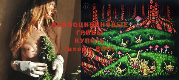 трава Новозыбков