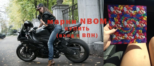 прущие грибы Новокубанск