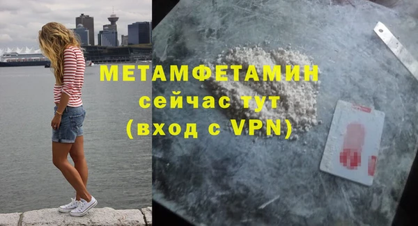 прущие грибы Новокубанск