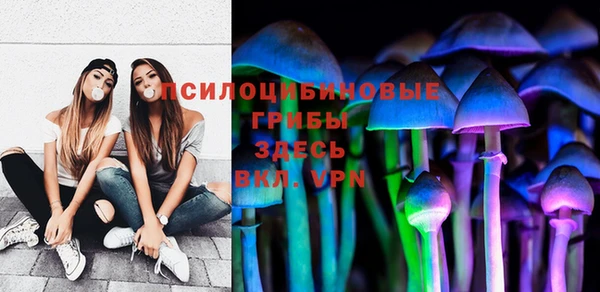 трава Новозыбков