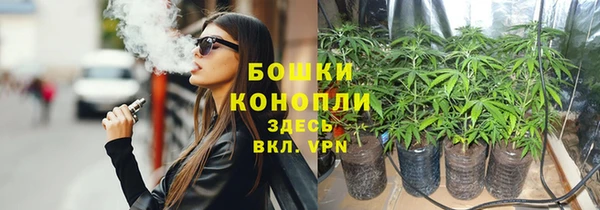 ешки Новодвинск