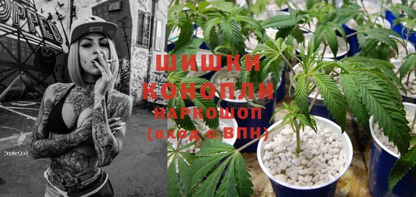 трава Новозыбков